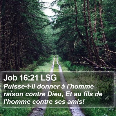 Job 16:21 LSG Bible Verse Image