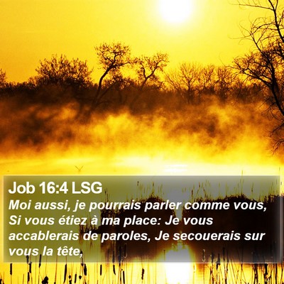Job 16:4 LSG Bible Verse Image
