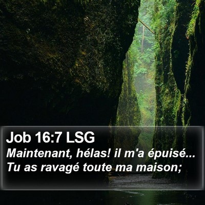 Job 16:7 LSG Bible Verse Image
