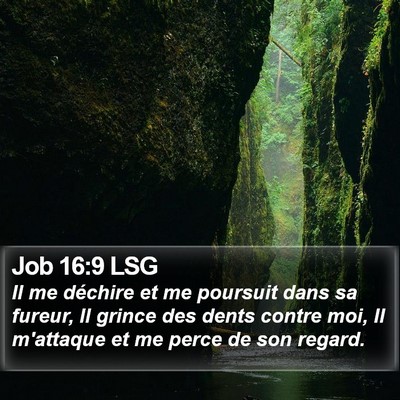 Job 16:9 LSG Bible Verse Image