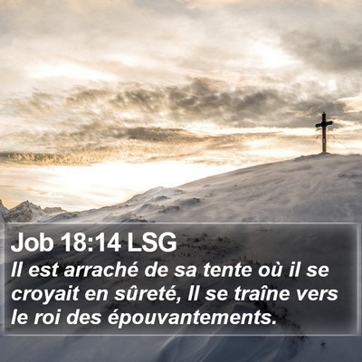 Job 18:14 LSG Bible Verse Image
