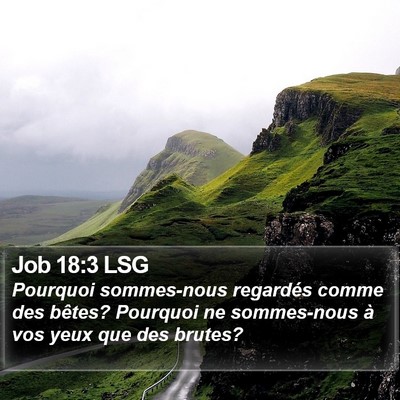 Job 18:3 LSG Bible Verse Image
