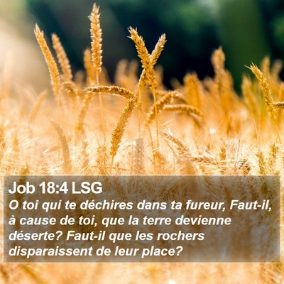 Job 18:4 LSG Bible Verse Image