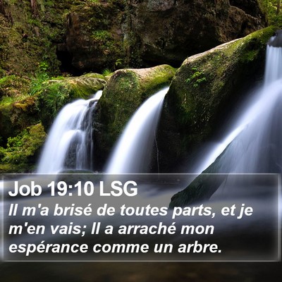 Job 19:10 LSG Bible Verse Image