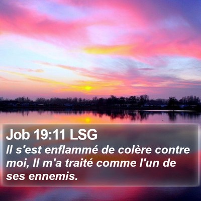 Job 19:11 LSG Bible Verse Image