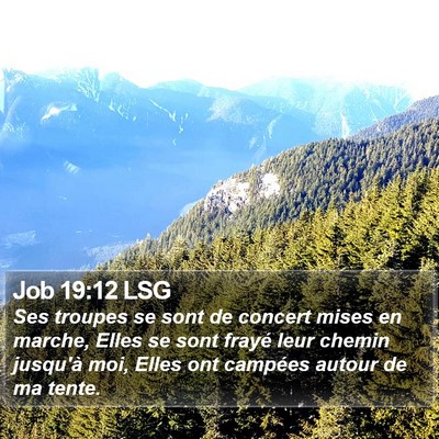 Job 19:12 LSG Bible Verse Image