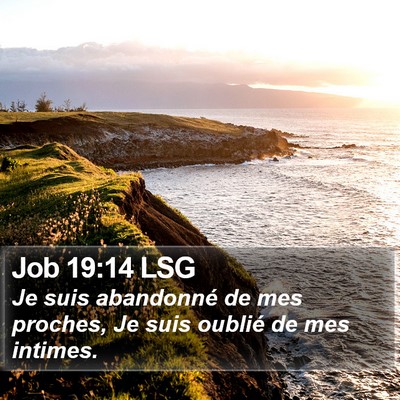 Job 19:14 LSG Bible Verse Image