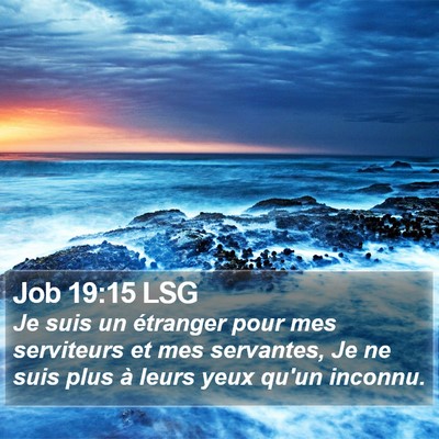Job 19:15 LSG Bible Verse Image