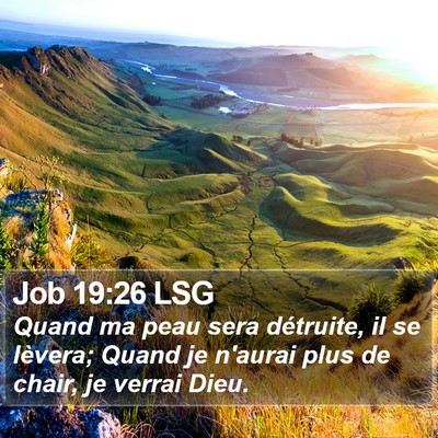 Job 19:26 LSG Bible Verse Image