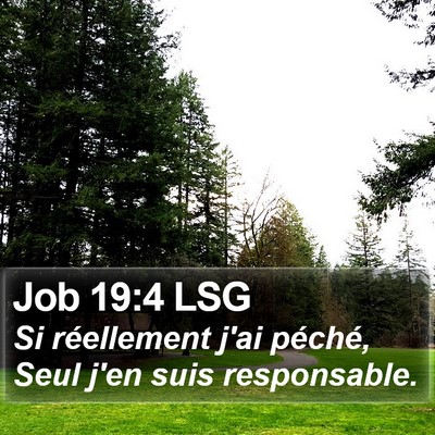 Job 19:4 LSG Bible Verse Image