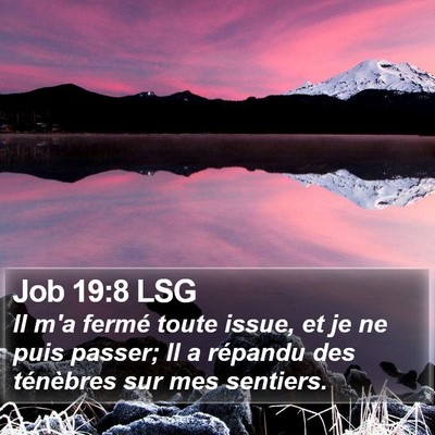 Job 19:8 LSG Bible Verse Image