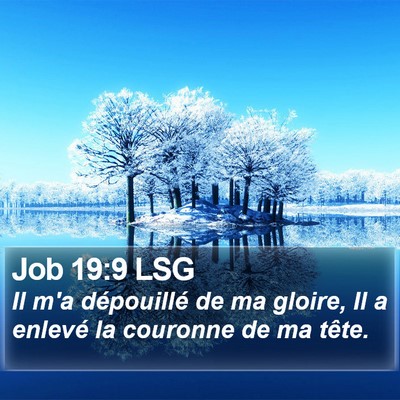 Job 19:9 LSG Bible Verse Image