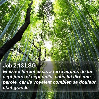 Job 2:13 LSG Bible Verse Image