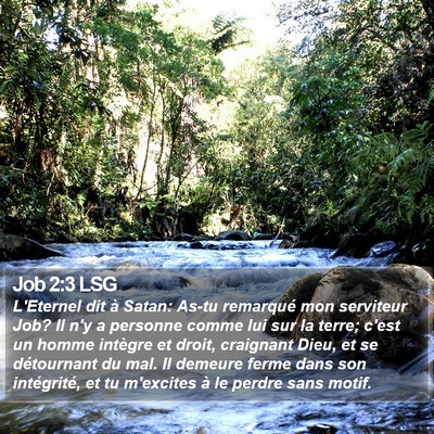 Job 2:3 LSG Bible Verse Image