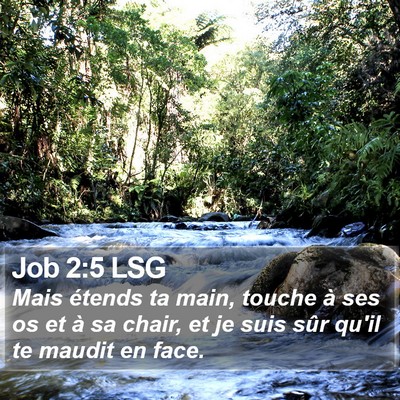 Job 2:5 LSG Bible Verse Image