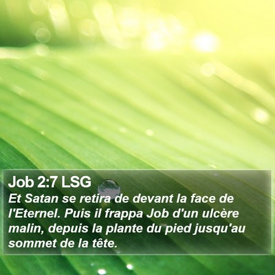 Job 2:7 LSG Bible Verse Image