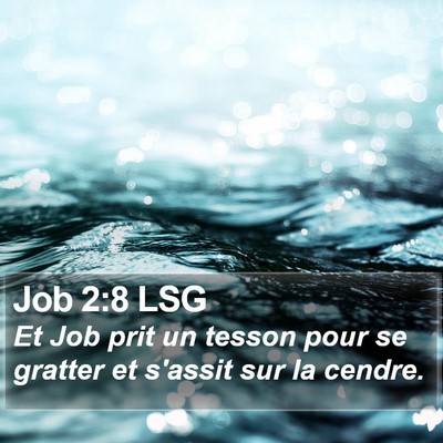 Job 2:8 LSG Bible Verse Image