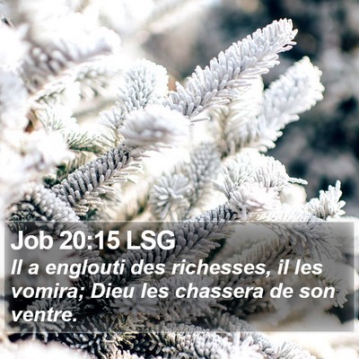 Job 20:15 LSG Bible Verse Image