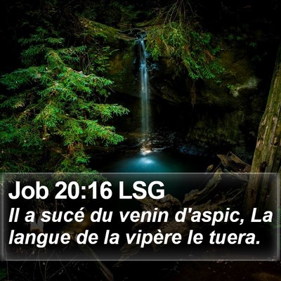 Job 20:16 LSG Bible Verse Image