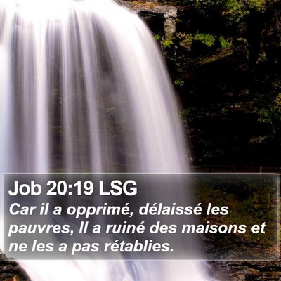 Job 20:19 LSG Bible Verse Image