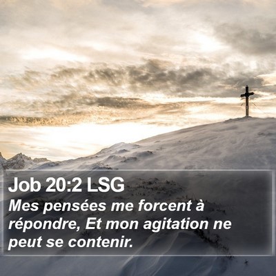 Job 20:2 LSG Bible Verse Image
