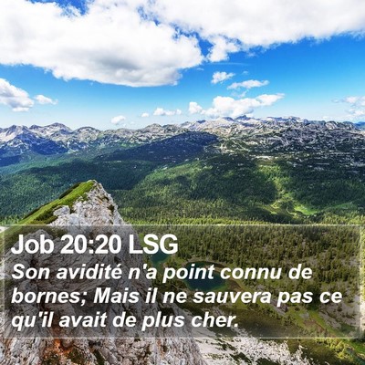 Job 20:20 LSG Bible Verse Image