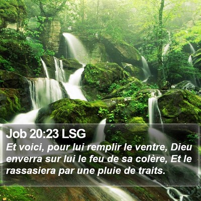 Job 20:23 LSG Bible Verse Image