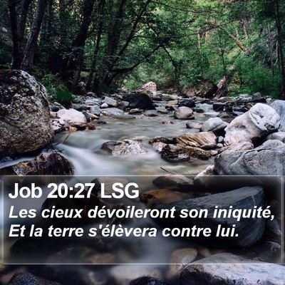 Job 20:27 LSG Bible Verse Image