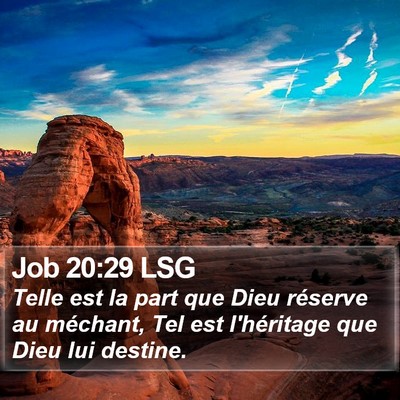 Job 20:29 LSG Bible Verse Image