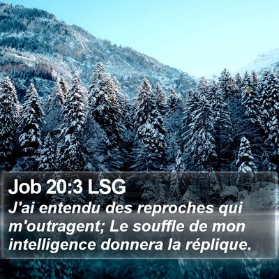 Job 20:3 LSG Bible Verse Image