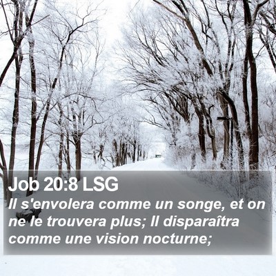 Job 20:8 LSG Bible Verse Image