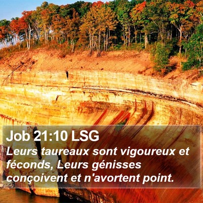 Job 21:10 LSG Bible Verse Image