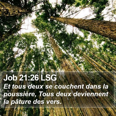 Job 21:26 LSG Bible Verse Image