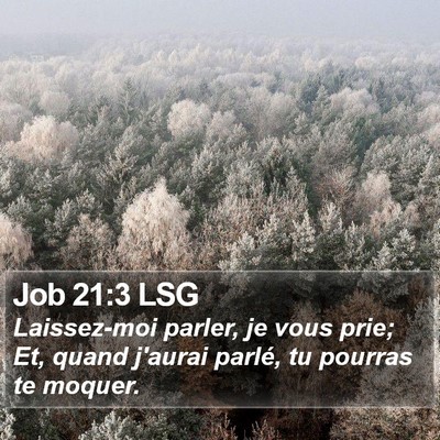 Job 21:3 LSG Bible Verse Image