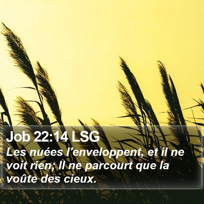 Job 22:14 LSG Bible Verse Image