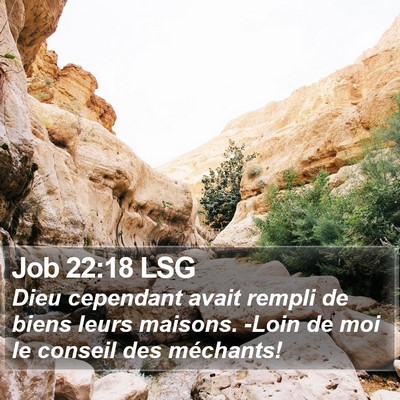 Job 22:18 LSG Bible Verse Image