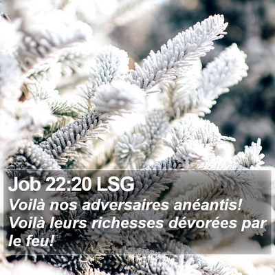 Job 22:20 LSG Bible Verse Image