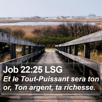 Job 22:25 LSG Bible Verse Image
