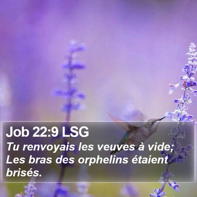 Job 22:9 LSG Bible Verse Image