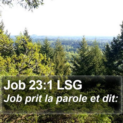 Job 23:1 LSG Bible Verse Image