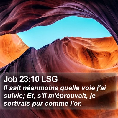 Job 23:10 LSG Bible Verse Image