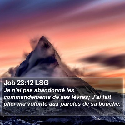 Job 23:12 LSG Bible Verse Image