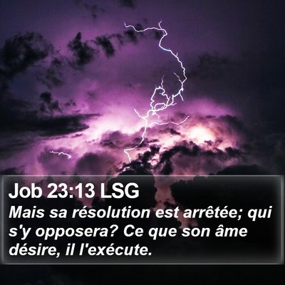 Job 23:13 LSG Bible Verse Image