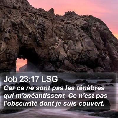 Job 23:17 LSG Bible Verse Image
