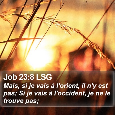 Job 23:8 LSG Bible Verse Image