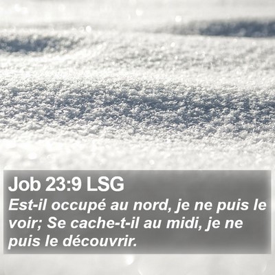 Job 23:9 LSG Bible Verse Image