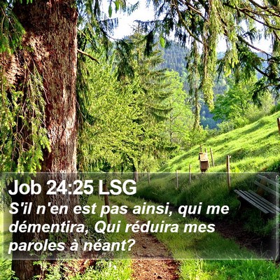 Job 24:25 LSG Bible Verse Image