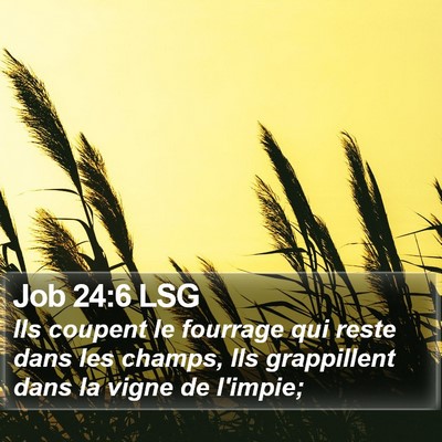 Job 24:6 LSG Bible Verse Image