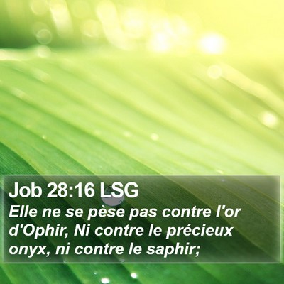 Job 28:16 LSG Bible Verse Image