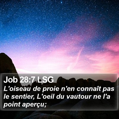 Job 28:7 LSG Bible Verse Image